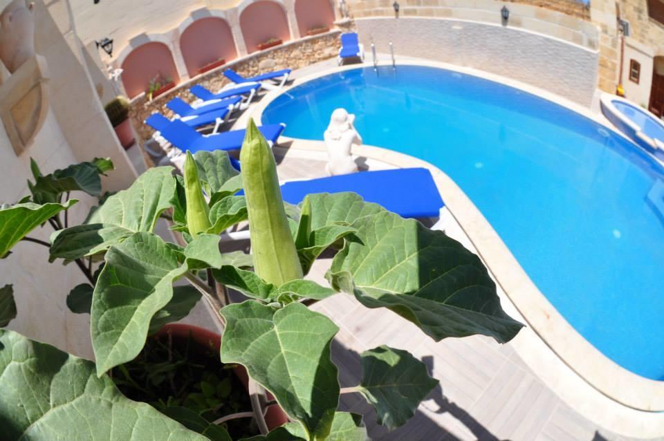 Mikiel U Rosa Holiday Farmhouse With Large Private Pool Zebbug  Zewnętrze zdjęcie